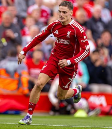 MINI SHIN PADS - WHITE